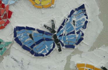 butterfly-60356_1280