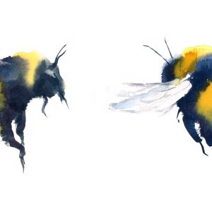 Watercolor,Bumblebees,In,Flight,Hand,Painted,Summer,Illustration,Set,Isolated