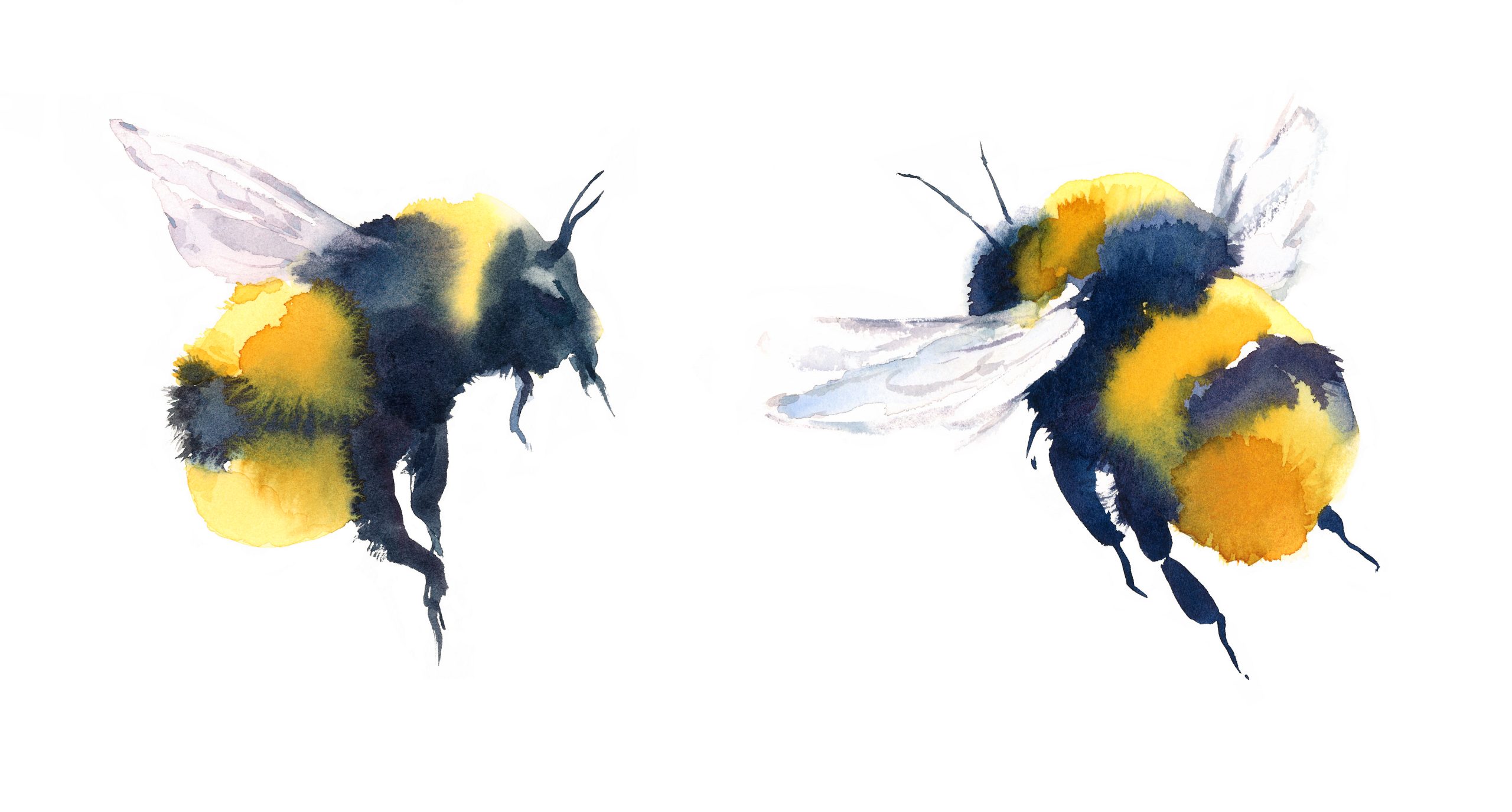 Watercolor,Bumblebees,In,Flight,Hand,Painted,Summer,Illustration,Set,Isolated